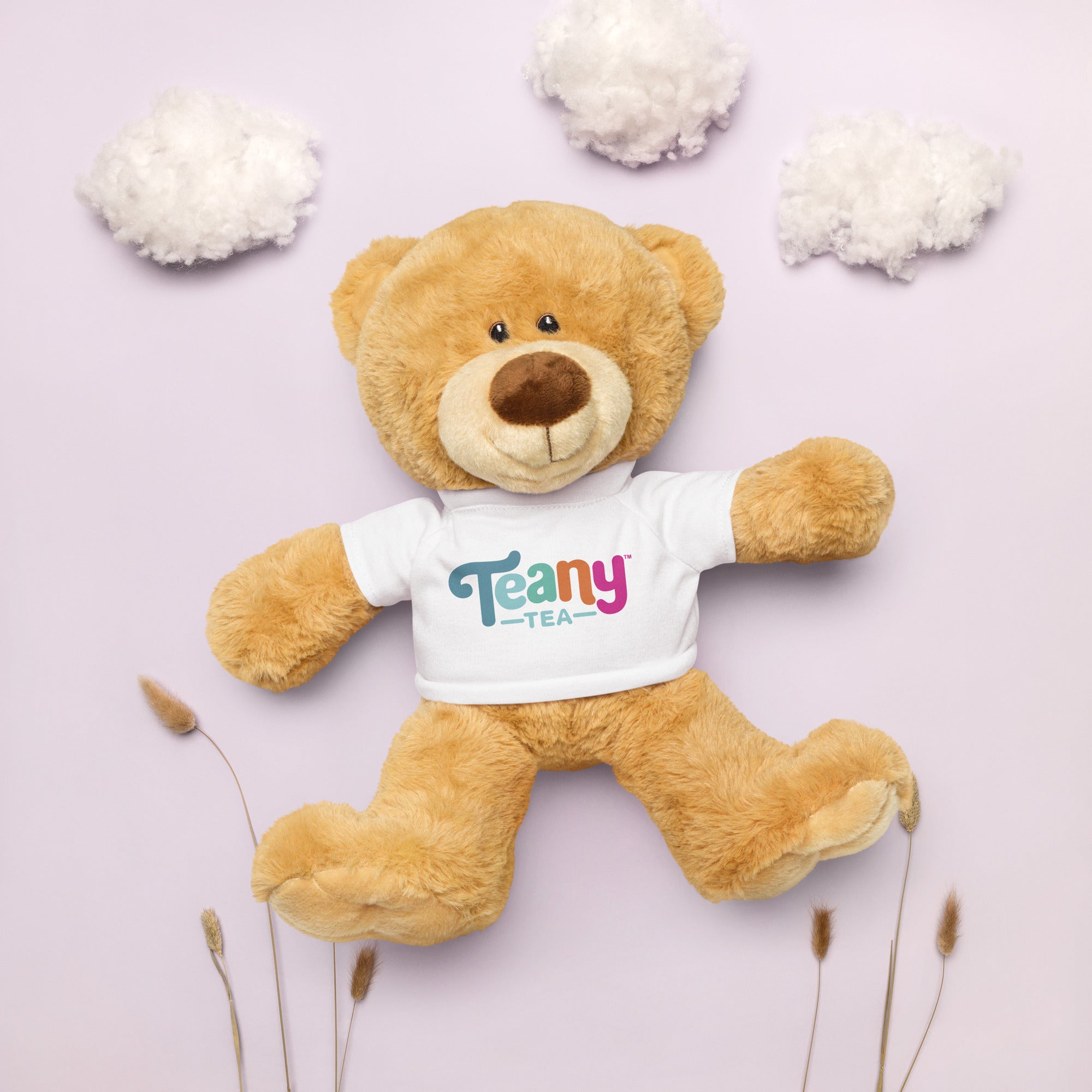 Teddy bear with a t-shirt – Teany Tea